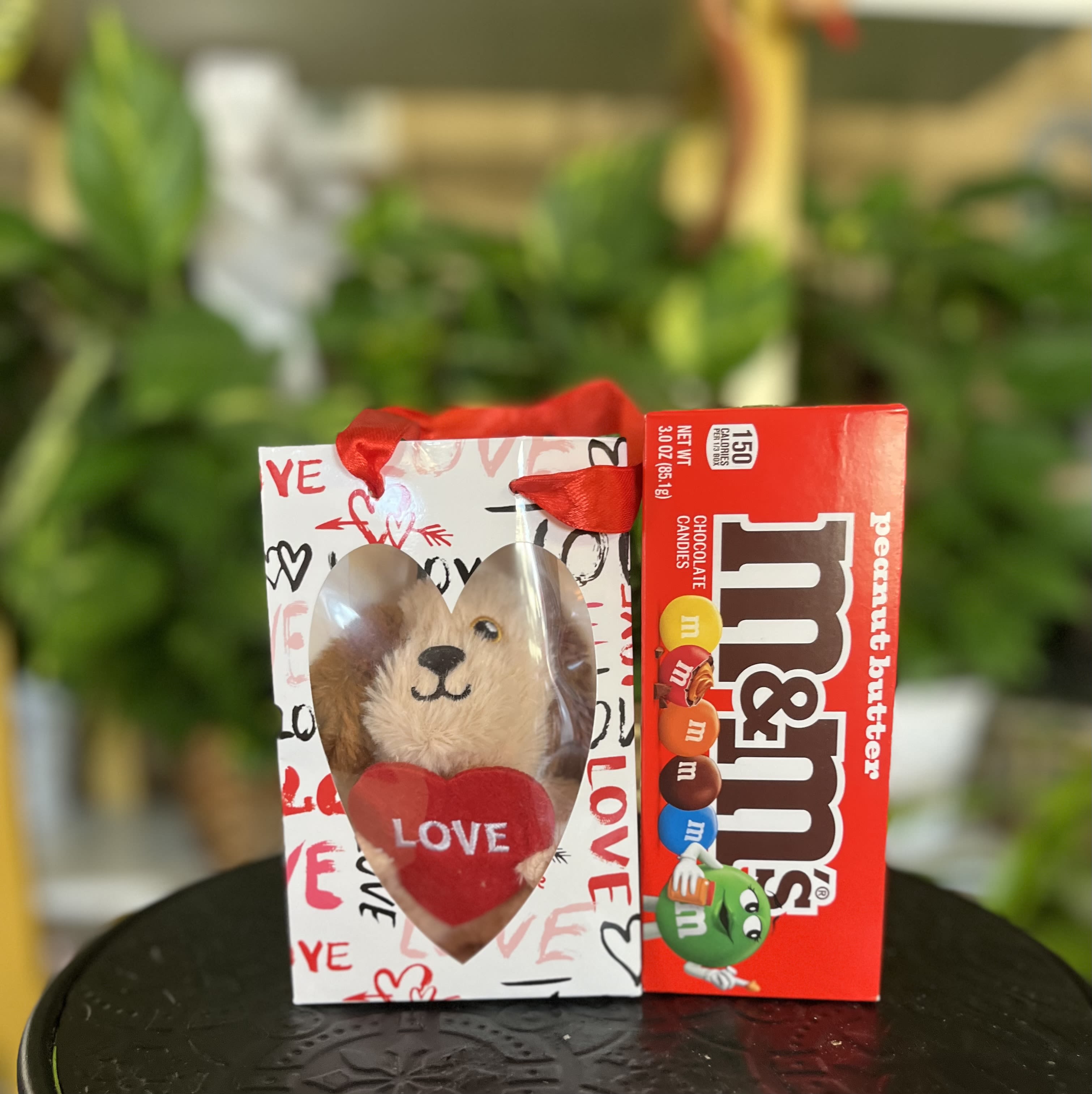 Dog &amp; Peanut Butter M&amp;Ms - dog plush and m&amp;ms 