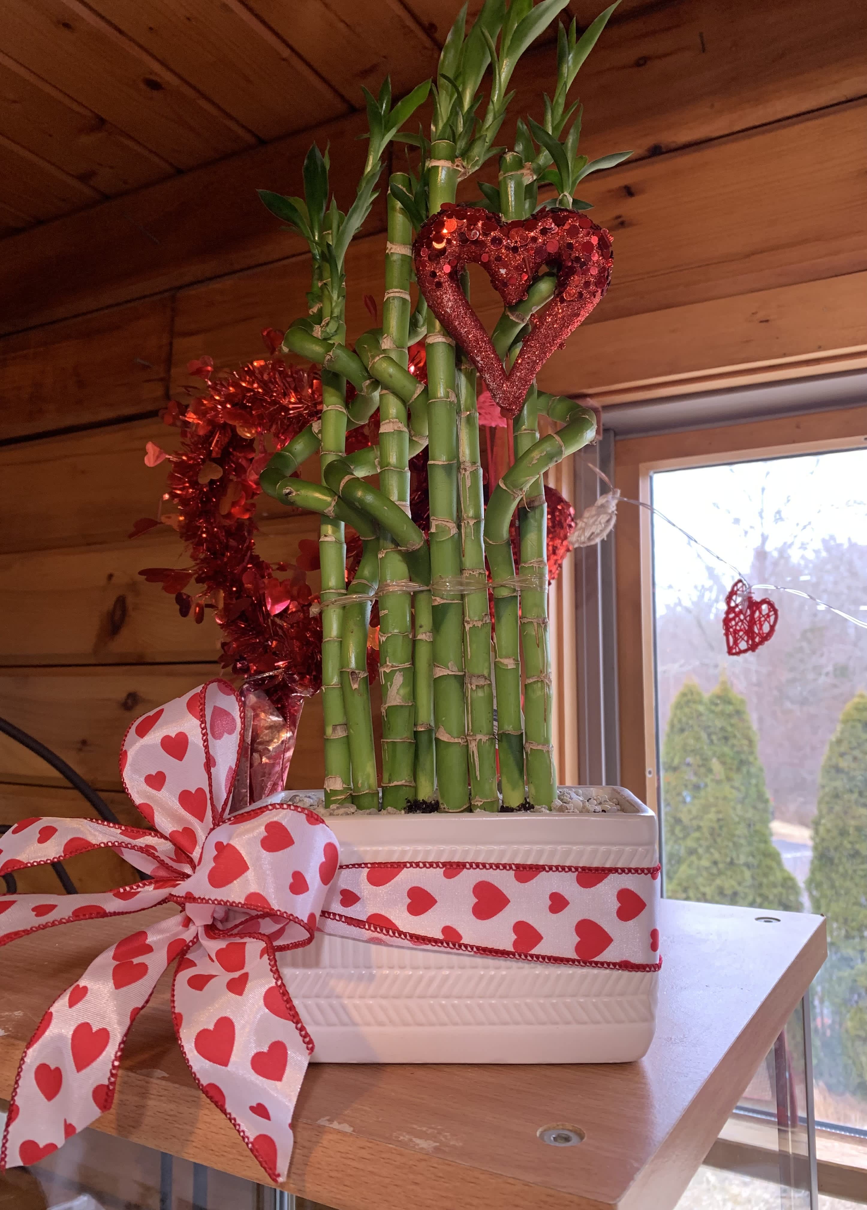 Valentine's Lucky Bamboo - We offer a variety of styles of Bamboo dishes for Valentine's Day...send your special Valentine some love and luck!