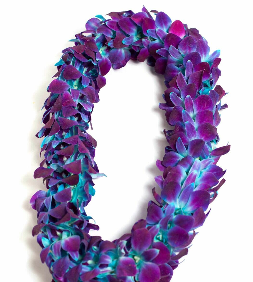 DOUBLE DYED BLUE LEI (PC) - DOUBLE DYED DENDROBIUM ORCHIDS BLUE LEI- DOUBLE PURPLE STRAND DYED IN BLUE