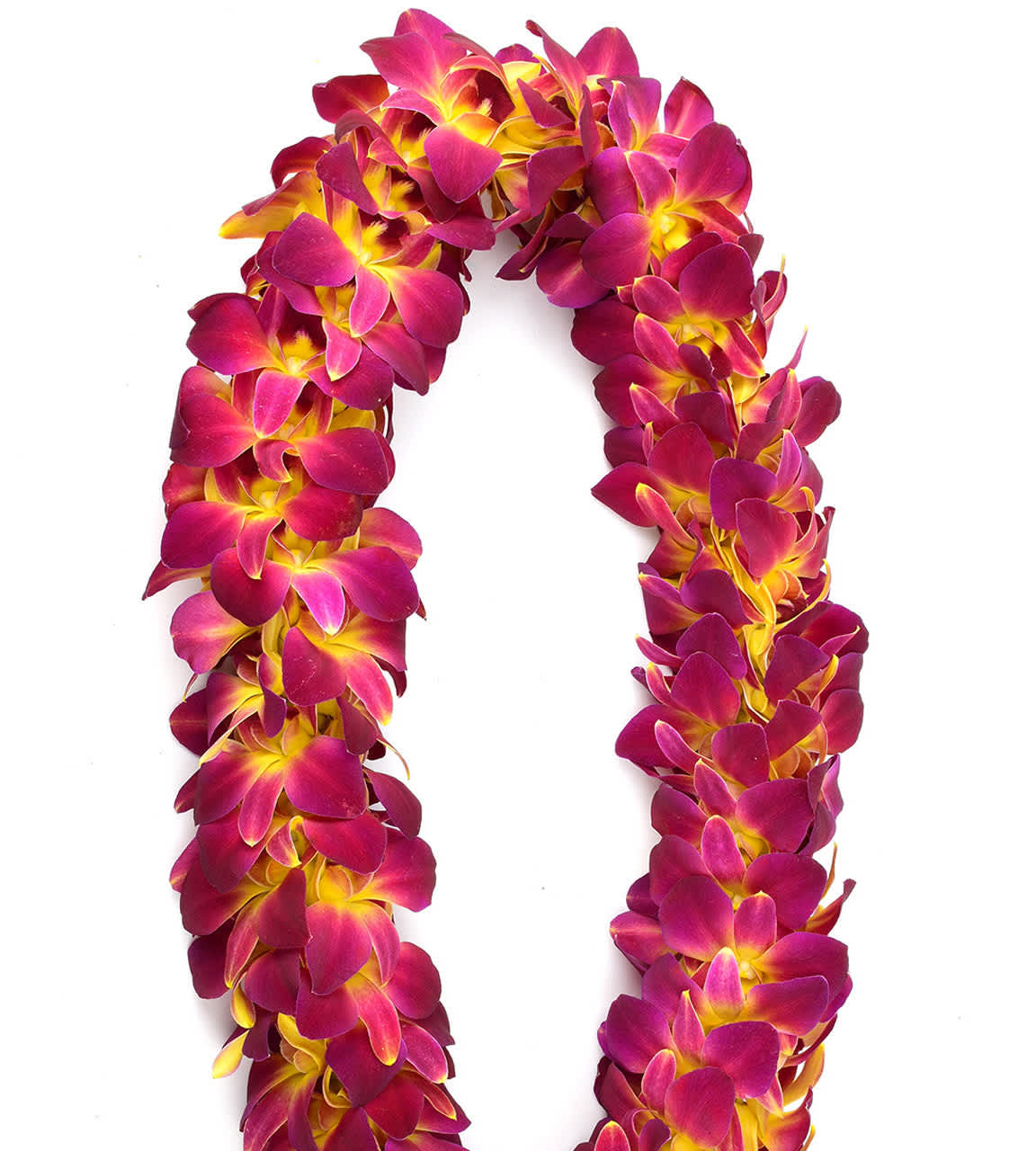 DOUBLE YELLOW DYED LEI (Pitzer) - DOUBLE STRAND OF YELLOW DYED DENDROBIUM ORCHIDS---PURPLE ORCHIDS DYED IN YELLOW