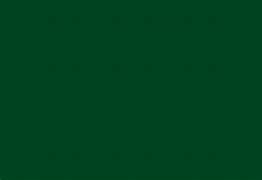 $60 Designer's Choice - Wanting something unique? Allow our designers to create a beautiful arrangement for you! This small arrangement may include 1 focal flower such as a rose, gerbera daisy, sunflower, etc. along with some stunning filler and greens. Feel free to include a preference if you have one, and we will do our best to accommodate you. Please keep in mind that we won't always have every flower in stock!