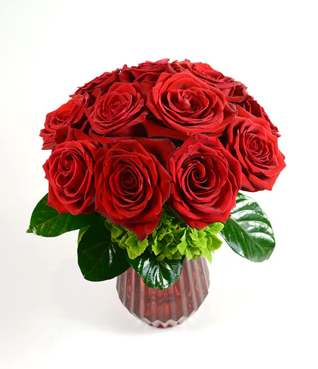 Be Mine - A dozen beautiful red roses accented with hydrangea arranged in our ruby red vase. Perfect for your sweetheart.