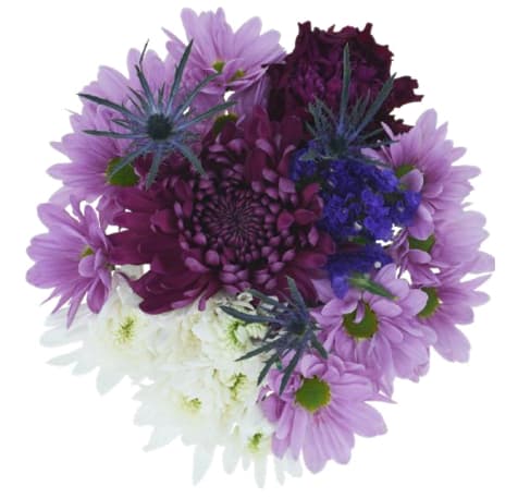 Romeo Valentine's Day Wrap - 3 sizes - Bold love is rich. Purple shades express deep and bold love between loved ones. Be a Romeo and don't be afraid to express just how bold your love is. 