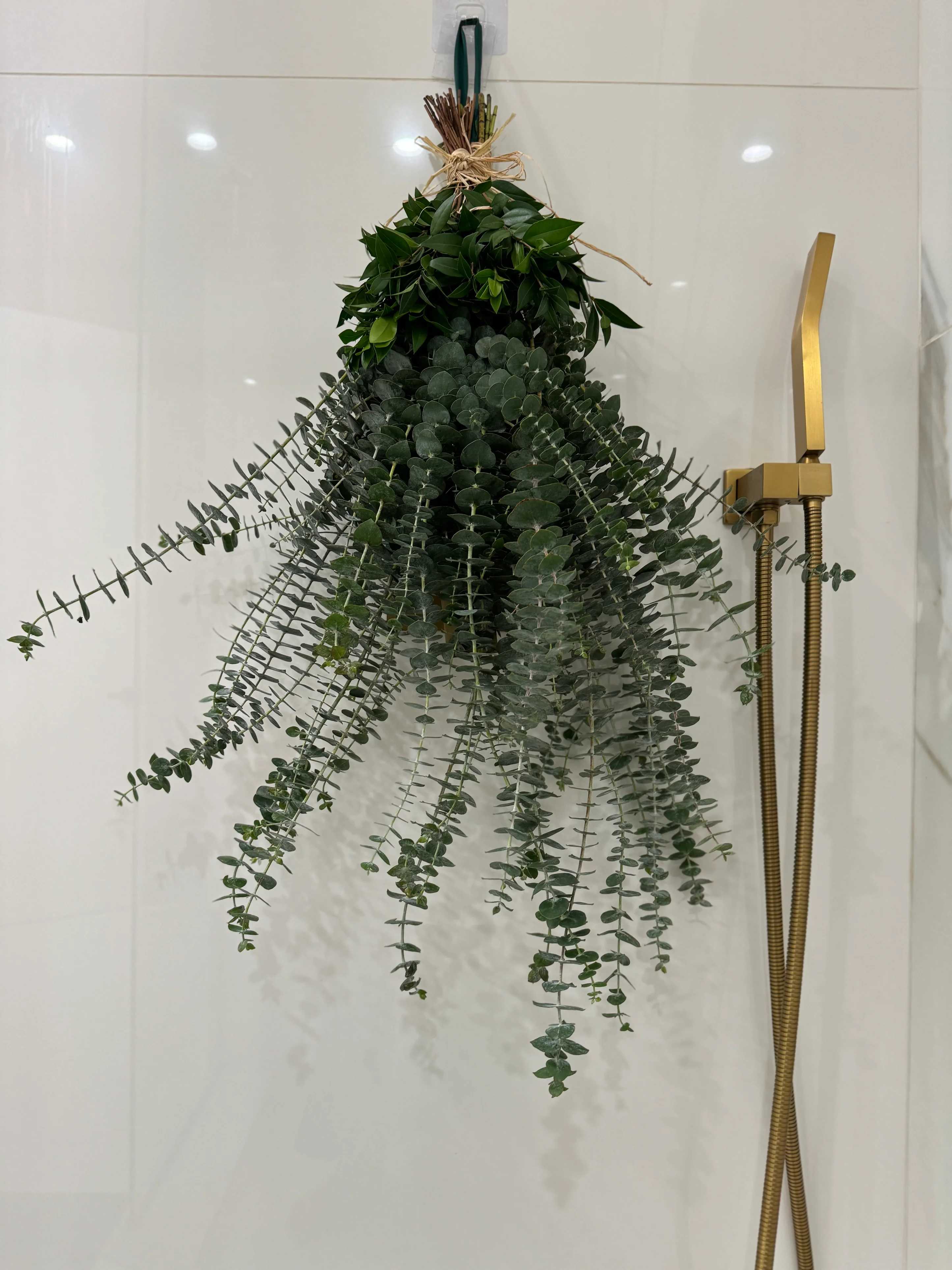 Hanging Serenity – Eucalyptus Shower Relaxation Decor - Hanging Serenity – Eucalyptus Shower Relaxation Decor Transform your shower into a spa-like retreat with Hanging Serenity, a beautiful eucalyptus wall arrangement designed for ultimate relaxation. As the steam from your shower activates the natural oils of the fresh eucalyptus leaves, it releases a calming and invigorating aroma, perfect for reducing stress and promoting wellness.  Handcrafted by Sofi La Fleur, this luxurious shower decor adds a touch of nature’s elegance to your daily routine. Order Hanging Serenity today and indulge in the rejuvenating power of eucalyptus! Boxed in our unique gift box  