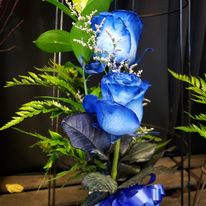 Valentine Blue - 2 Blue Roses for Valentine's Day