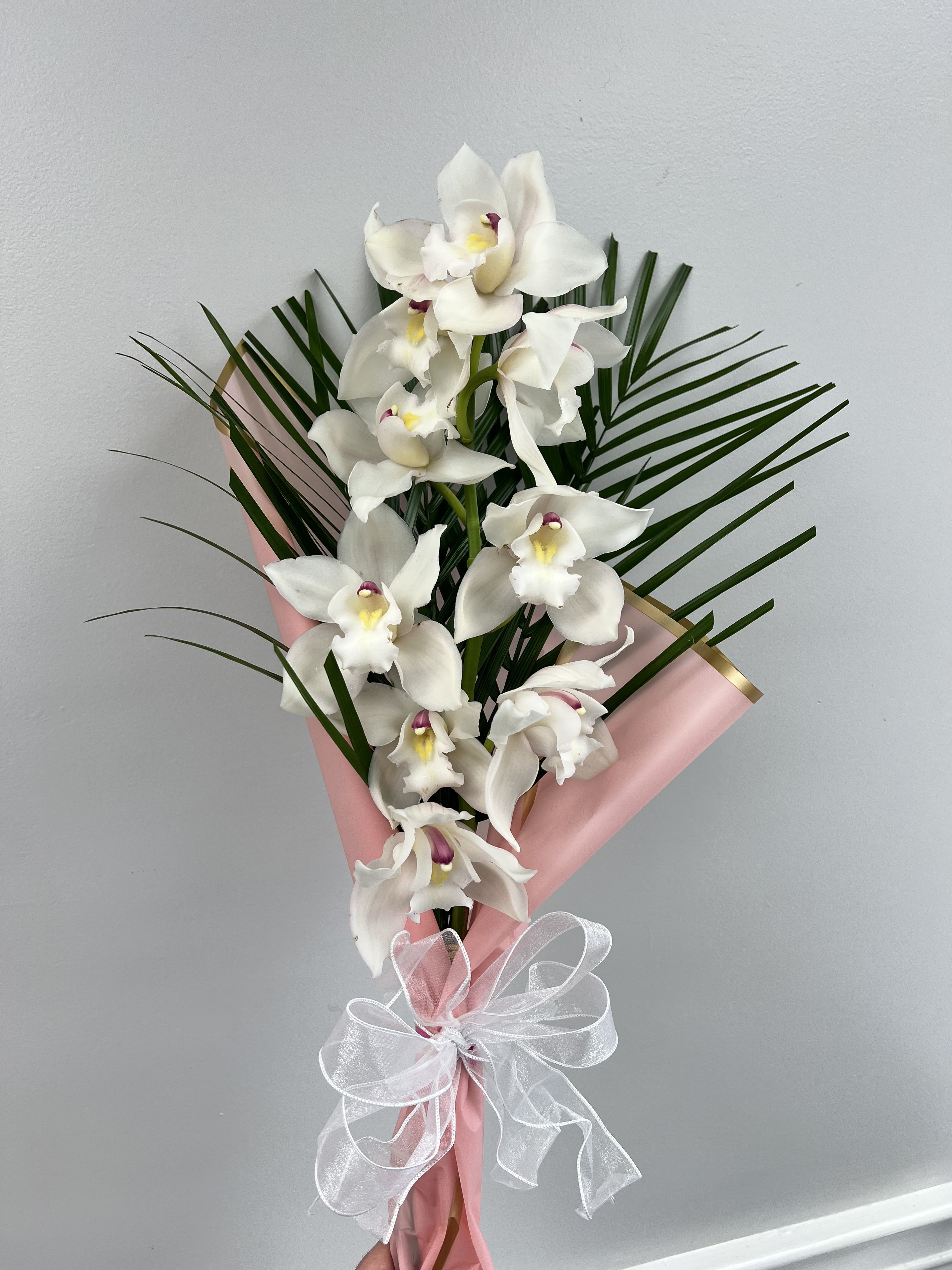 Cymbidium Orchid  - Give the gift of a long lasting  Elegant , exotic  blooms  of a cut cymbidium orchid. Perfect for birthdays, celebrations or a romantic occasion 