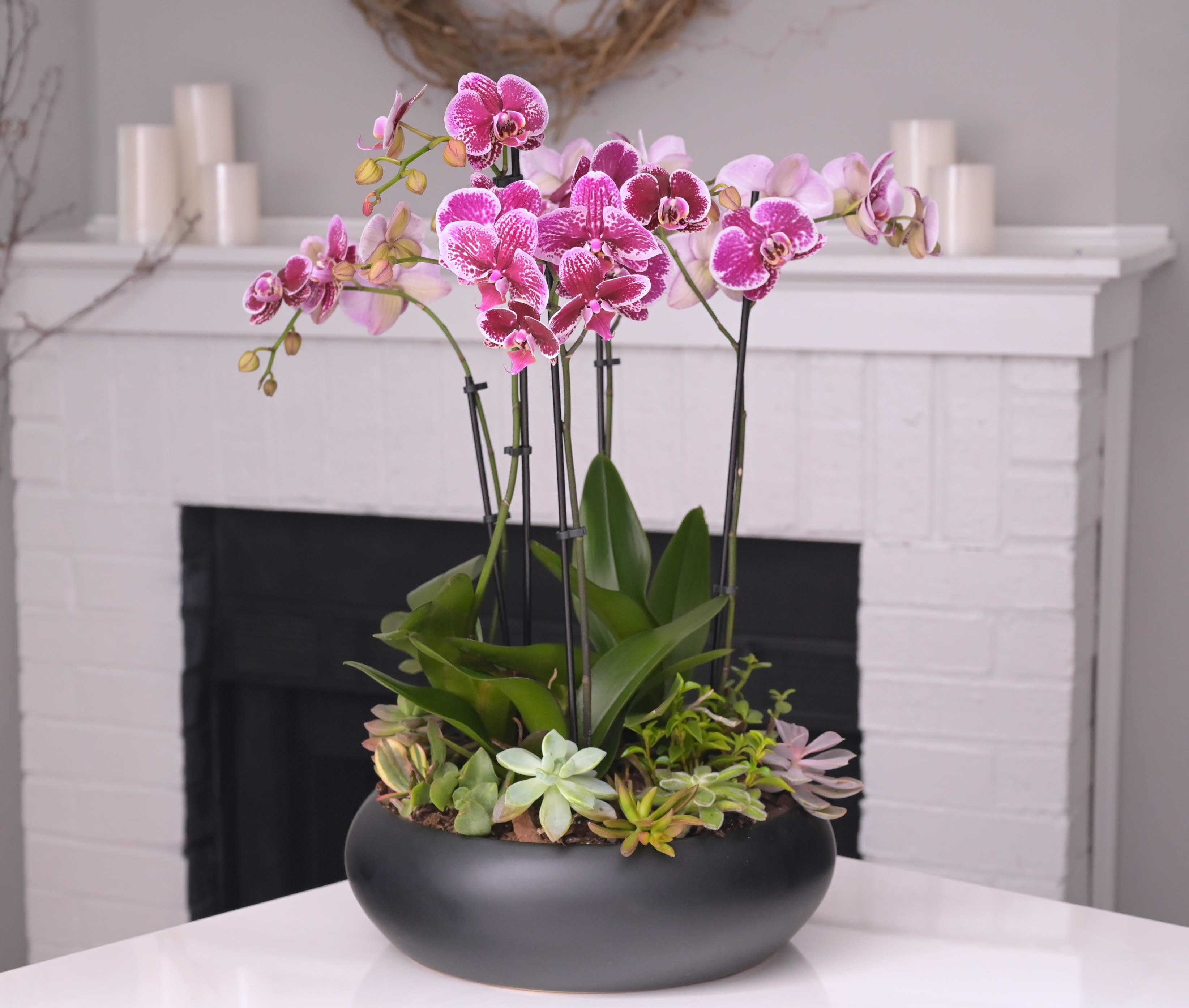 O'ahu Orchids  - Color of orchids may vary based on availability. If you have a preferred color, please include it in the special instructions, and we will accommodate whenever possible — subject to availability. O'ahu Orchids Elegant, tropical, and beautifully sculptural, O'ahu Orchids evokes the serene luxury of island living. Multiple orchid stems rise gracefully above a bed of lush succulents, creating a striking interplay of height, texture, and soft, natural movement. Designed in a modern charcoal vessel, this arrangement blends contemporary styling with the calming spirit of the islands — perfect for sophisticated interiors, statement gifting, or bringing a touch of serene tropical beauty into any home or workspace. Please Note: Our arrangements are handcrafted, and no two pieces are ever identical. Variations in bloom tones and natural elements will occur based on daily availability. We do not create factory-duplicate designs — instead, we recreate the style, palette, and overall feel of the arrangement while ensuring every piece is fresh, beautiful, and premium.