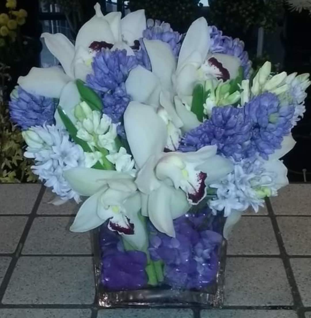 Beyond Blue - Hyacinth orchids