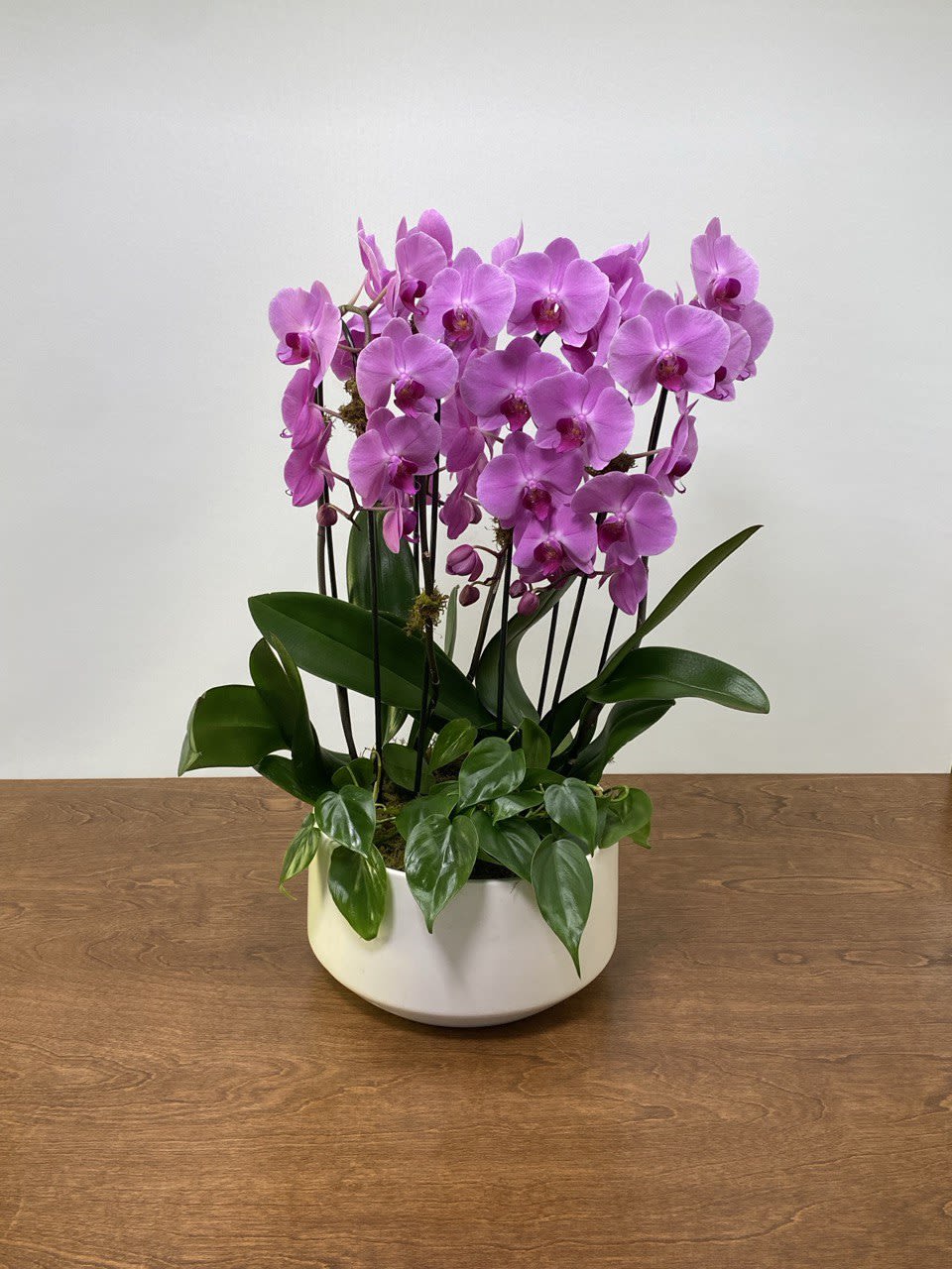 Niagara Orchid Garden - A luxurious display of cascading purple Phalaenopsis orchids arranged in a modern ceramic planter and accented with fresh greenery . Elegant, long-lasting, and effortlessly sophisticated, this orchid garden makes a striking statement for homes, offices, or meaningful gifts. For the delux version we use some seasonal branches to dress it up.
