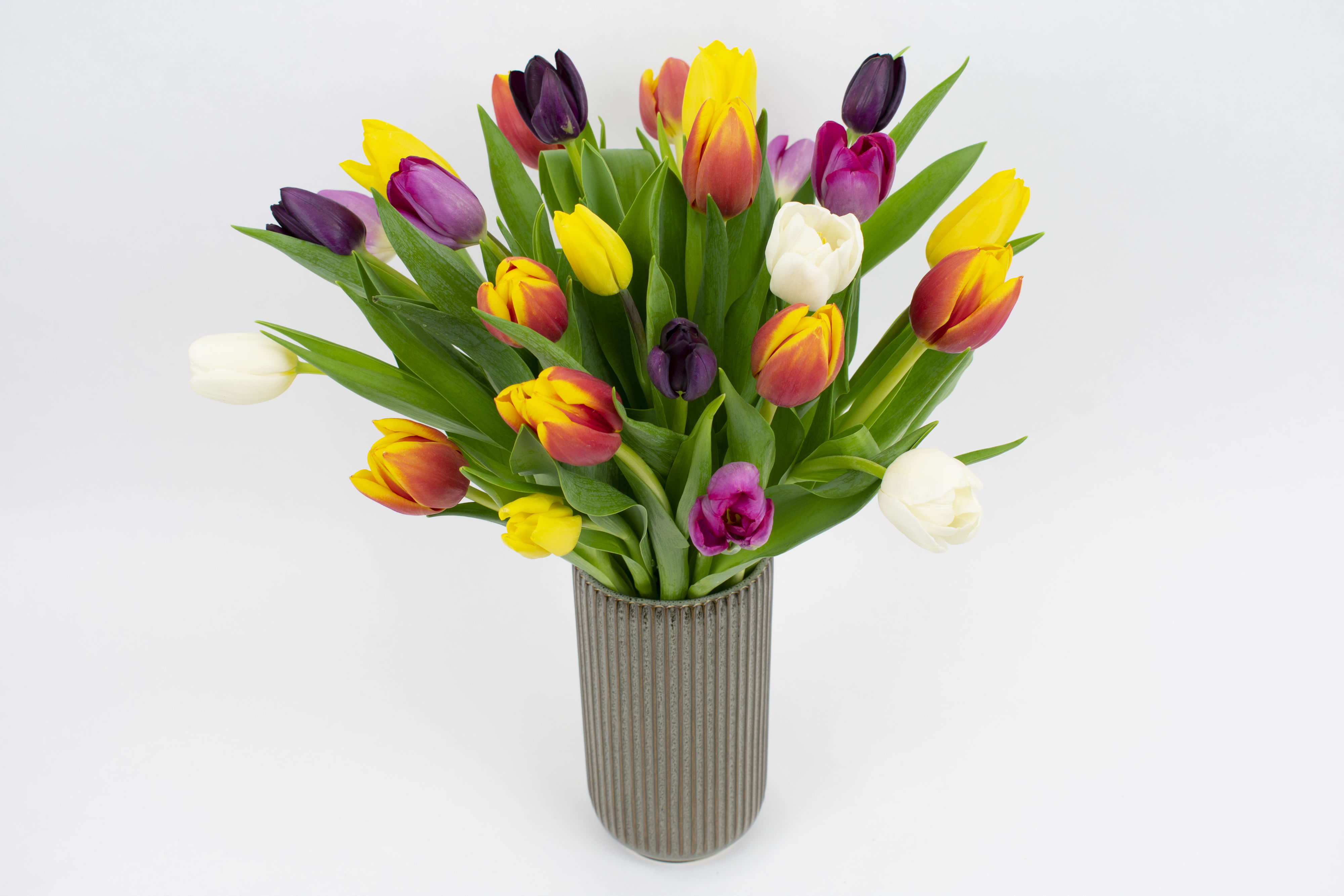 Rainbow Tulip - VASE OF BRIGHT TULIPS   Bright, fresh and fun. This happy vase of mixed colored tulips is guaranteed to deliver rainbow-inspired joy into someone’s day.  Our florists mix stems of sunshine yellow tulips and purple tulips with pretty pink tulips and perfect white tulips. You’ll even find fun two-tone yellow and orange tulips for a big splash of vibrant color.  Send these bright mixed tulips in a vase to wish happy birthday or get well soon to a friend, colleague or partner. Deliver a new baby well wishes to brighten up the parent’s bedside. Or choose these happy tulips as a congratulations for a milestone achievement or event.  Why not add a greeting card or quality handmade candle to match the occasion or personality?  Rainbow Tulips features: ·        25 tulips stems ·        Combination of bright yellow, purple, pink, orange/yellow and white ·        Glossy salal foliage ·        Ceramic ribbed vase   SIZE: The STANDARD flower arrangement is approximately 12” height and 12" width.   ALLERGY ADVICE: This design is low in pollen and has no fragrance.   FAQ  Q: What time will my tulips arrive and what if no-one is there to accept them? A: Excellent question! We’re unable to provide or guarantee specific delivery times. All our flowers are delivered anytime between 9-5pm, with exception to Sympathy designs for a funeral service. For full details around our delivery process and timings, please see our Terms and Conditions. Q: What days do you deliver flowers? A: All our flowers are available for San Francisco and Daly City delivery seven days a week, between 9am-5pm. Q: May I order for the same day delivery? A: Yes, same day deliveries are available if you place an order before 1pm. Q: May I request to change the design a bit? A: Yes, please make a note in the SPECIAL INSTRUCTION box when you place your online order. We will do our best to follow them. Q: Will my tulips look exactly as what is pictured? A: Depending on the season, colors or shades may vary, but we guarantee your vase will be bright and colorful.   Ready to bring floral beauty into someone’s world with our bright Rainbow Tulip flower vase? Order this gift online now or give us a call on (415) 752-2060 if you have a question or special request. 