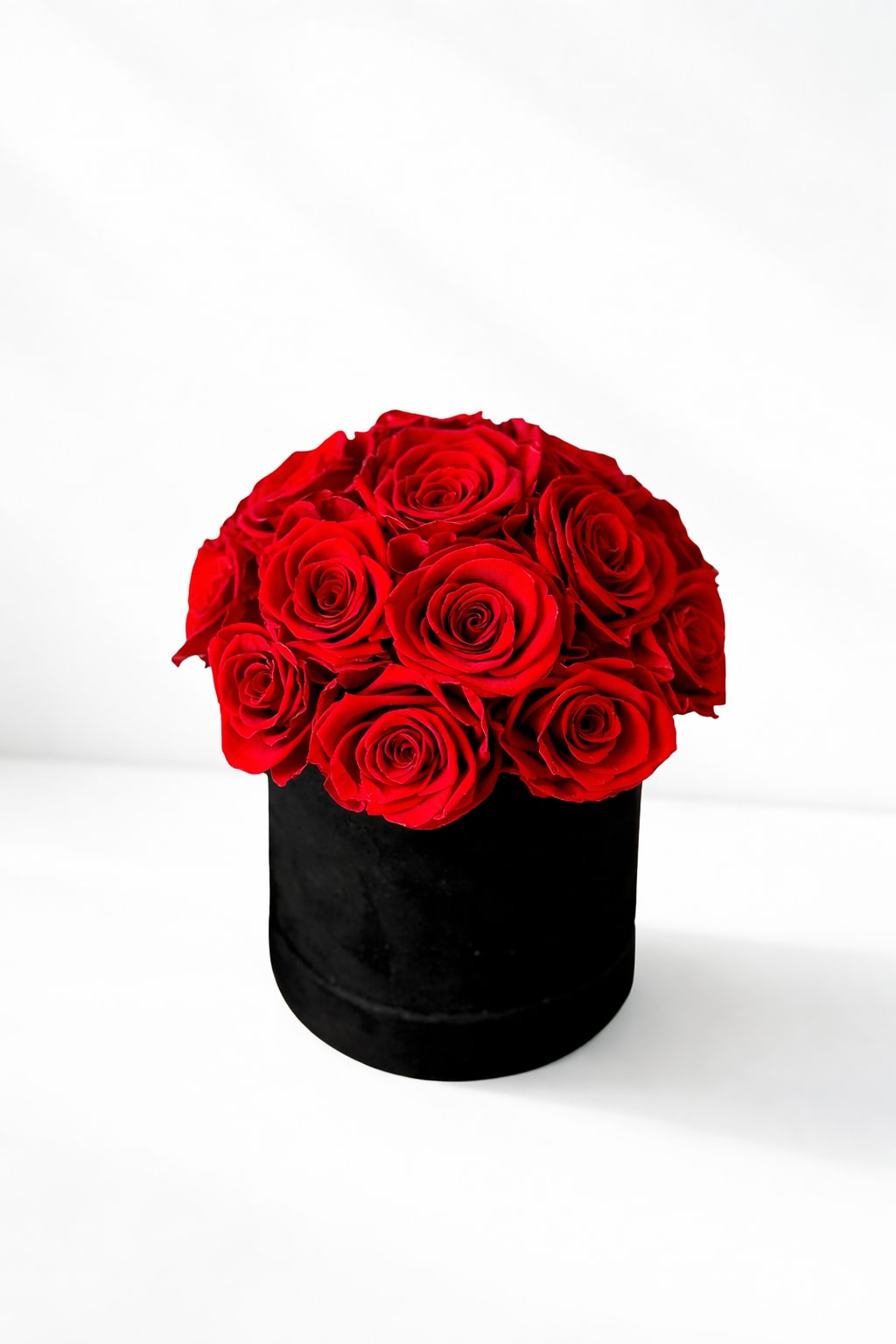 Forever Roses - Red - Elevate your space with our luxurious velvet cylinder box featuring real preserved roses. Available in arrangements of 16, 25, or 30 roses, each box showcases a dome-shaped arrangement of exquisite Ecuadorian preserved roses in your choice of red, white, light pink, or hot pink. Nestled within a plush velvet cylinder box, this stunning bouquet offers timeless beauty and elegance that lasts for years.  Our Forever Roses are the perfect way to show your love and appreciation - forever. Our exquisite roses are preserved to maintain their delicate beauty, for a sophisticated gift that will last a lifetime. Each rose dome is presented in an elegant velvet gift box, offering a truly special token of your affections.  Perfect for any occasion or as a striking decor piece, these preserved roses provide a maintenance-free alternative to fresh flowers, requiring no watering or upkeep. Each rose is carefully preserved to maintain its vibrant color and delicate texture, ensuring a long-lasting display that adds a touch of sophistication to any setting.  Standard : 16 Roses Deluxe: 25 Roses Premium: 30 Roses  Product Features:  • Luxurious Arrangement: Choose from 16, 25, or 30 preserved roses arranged in a dome shape. • Elegant Color Options: Available in red, white, light pink, or hot pink. • Velvet Cylinder Box: Packaged in a plush velvet box for a touch of luxury. • Maintenance-Free: No watering or wilting, offering enduring charm.  Box Dimensions: 12x10x10 