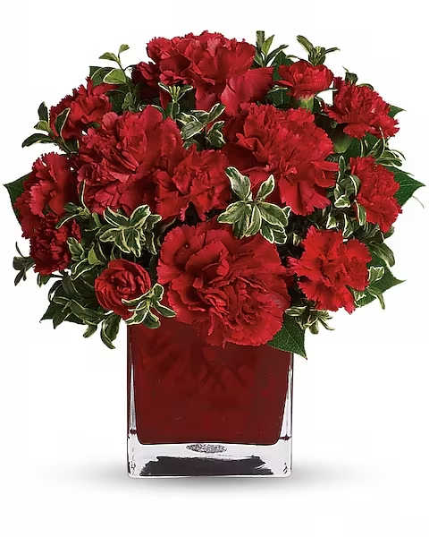 Teleflora's Precious Love - Simply speaking, red means romance. Send this bouquet of vibrant red carnations to your sweetheart and you'll convey passion, energy and desire. Remember also that you're sending not one gift but two: gorgeous flowers and a colorful cube vase. A mix of red carnations and red miniature carnations is delivered in a red glass Teleflora cube vase.   Orientation : One-Sided  All prices in USD ($)  Due to an increase in the cost of roses, some product prices may be impacted during the Valentine’s delivery period.