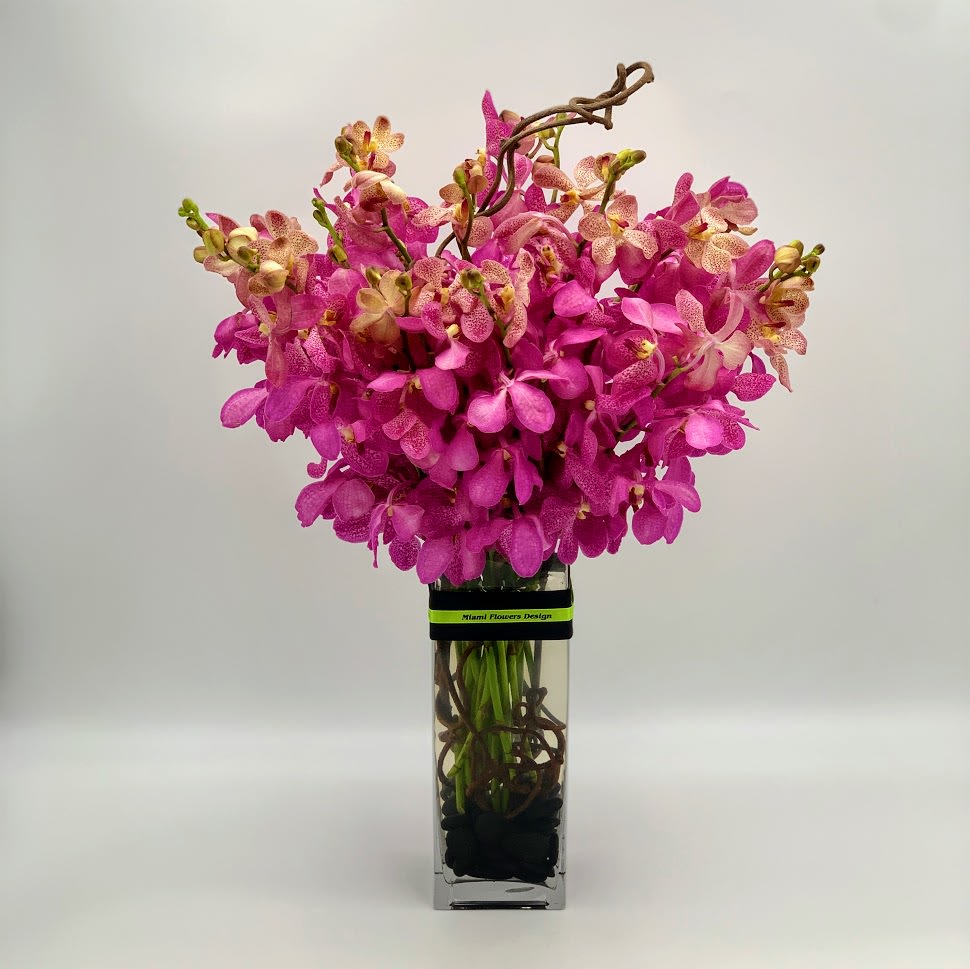 Orchids Lovers - a gorgeous luxury arrangement adorned with a tall crystal rectangular vase with black river glamourous shimmer stones with 20 beautiful pink Orchid flower blooms. 