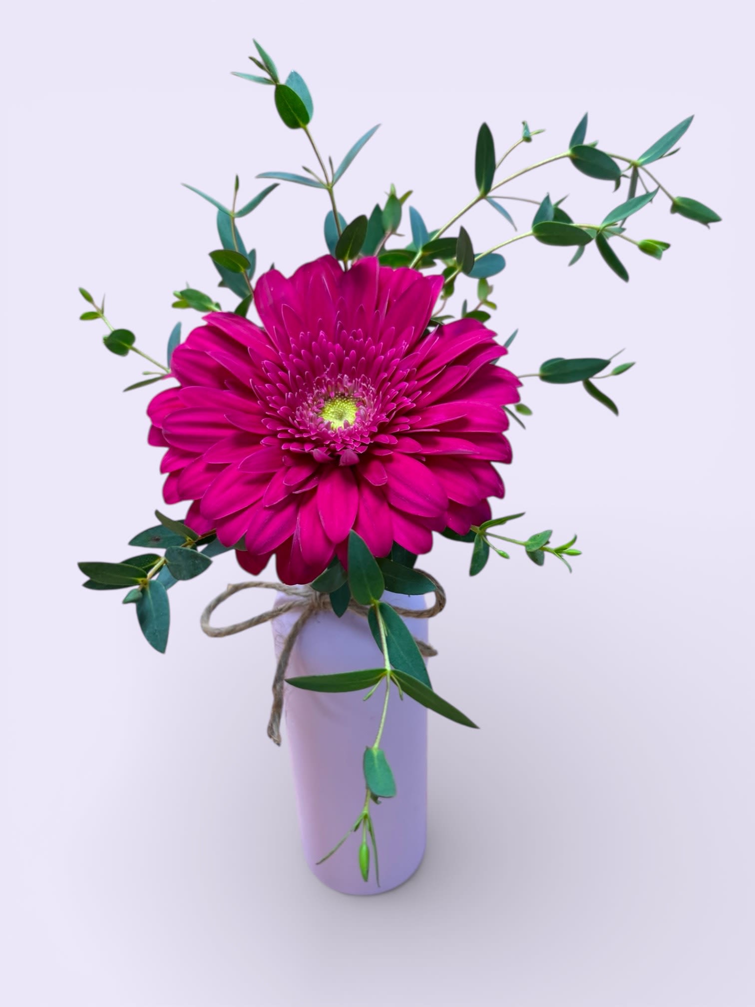 VIPetals - Our VIPetals arrangement rolls out the pink carpet with a striking gerbera daisy showcased in a chic pink bottle vase. Simple yet star-worthy, this Hollywood-inspired design is perfect for making someone feel like a true VIP—front row, center stage, and unforgettable.