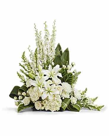 Teleflora's Loving Remembrance Cremation Tribute - A serene composition in ivory. Majestic hydrangeas and elegant white roses are beautifully framed by lush aspidistra and ti leaves. Soft green sword fern and delicate accents of white snapdragons and larkspur enhance the soothing palette, creating a calming portrait. Large hydrangeas are beautifully paired with white roses and lush greenery, featuring soft, airy sword fern and glossy aspidistra leaves. Please note: the arrangement does not include an urn.