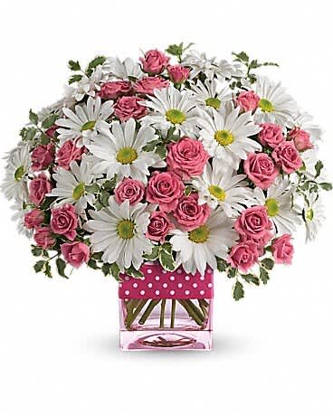 Teleflora's Polka Dots and Posies - Polka dots and posies, they're the perfect pair. Well, at least in this pretty arrangement they are. Just the right flowers in just the right vase all wrapped up inâ¦ you guessed it, just the right ribbon. Pink spray roses and white daisy spray chrysanthemums are delivered in an exclusive pink vase that's wrapped with a polka-dot satin ribbon.