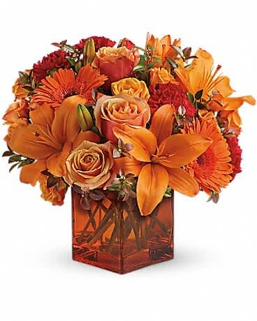 Teleflora's Sunrise Sunset - Sunrise, sunset, swiftly fly the days. So don't let another day go by without letting someone you know that you are thinking of them. This delightful arrangement will brighten anyone's morning, noon and night. Fiery orange roses, spray roses and gerberas plus red carnations and huckleberry, are arranged in an exclusive orange cube vase. This arrangement is bound to get glowing reviews and thank-yous!