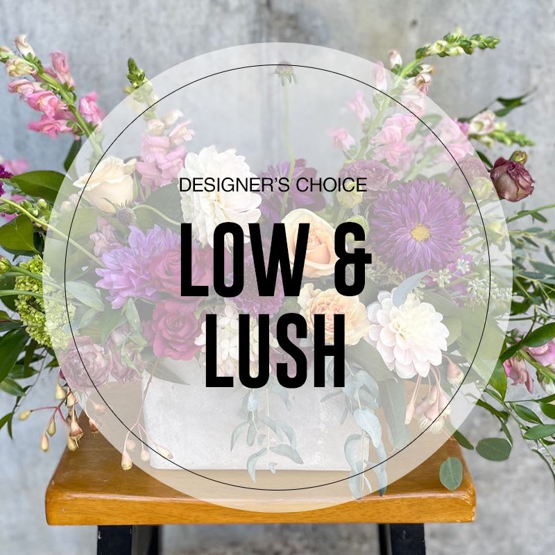 Designer's Choice - Low and Lush - Low and lush, this arrangement is in a shorter vase, with blooms closely packed together and less greenery. This modern, elegantly compact design features premium seasonal blooms gathered closely for rich texture and color, making it perfect for dining tables, coffee tables, or as a statement gift – beautiful from every angle.