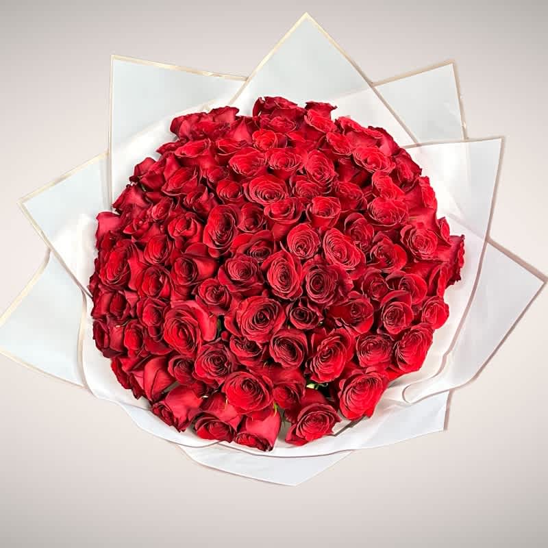 Ramo Buchón 100 Roses Bouquet #52 - The Ramo Buchón 100 Wrapped Roses Arrangement is a luxurious floral statement designed to impress. Crafted with 100 premium fresh roses, this bouquet features the iconic buchón style, known for its abundant volume, perfectly aligned roses, and elegant wrapping.  Ideal for anniversaries, proposals, birthdays, Valentine’s Day, and special celebrations, the Ramo Buchón symbolizes deep love, passion, and admiration. Each rose is carefully hand-selected and professionally arranged to ensure maximum freshness, beauty, and visual impact.  This large wrapped rose bouquet is perfect for those seeking a bold, romantic, and high-end floral gift that leaves a lasting impression.  Key Features: 	•	100 premium fresh roses 	•	Traditional Ramo Buchón wrapping style 	•	Handcrafted by professional florists 	•	Available in multiple rose colors 	•	Ideal for romantic and luxury gifting  Perfect For: Anniversaries, proposals, Valentine’s Day, weddings, birthdays, and luxury floral gifts.
