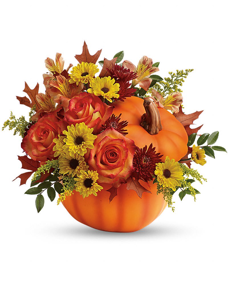 Teleflora's Warm Fall Wishes Bouquet - Everyone falls for this fabulous fall gift! Celebrate the season with this autumn arrangement of roses and alstroemeria, arranged in a classic ceramic pumpkin they'll use year after year! Includes a lush mix of orange roses, orange alstroemeria, burgundy cushion chrysanthemums, yellow daisy chrysanthemums, solidago, huckleberry and oak leaves. Delivered in an exclusive ceramic pumpkin with lid.