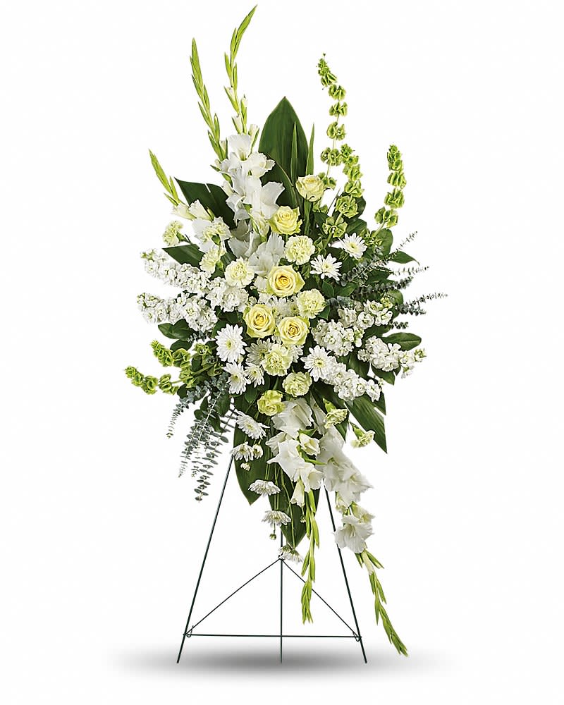 Magnificent Life Spray - A magnificent symbol of love and peace, this pure white and green spray conveys your sympathy with elegance and grace. This gorgeous array of green roses, green carnations, white gladioli, white stock, white cushion spray chrysanthemums and bells of Ireland is accented with green ti leaves, spiral eucalyptus and lemon leaf.