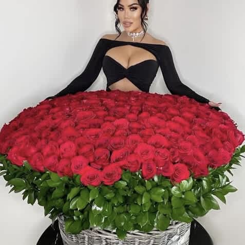 300 Fresh Roses in a basket VD - A stunning arrangement of 300 fresh roses in a basket is the most incredible gift ever.