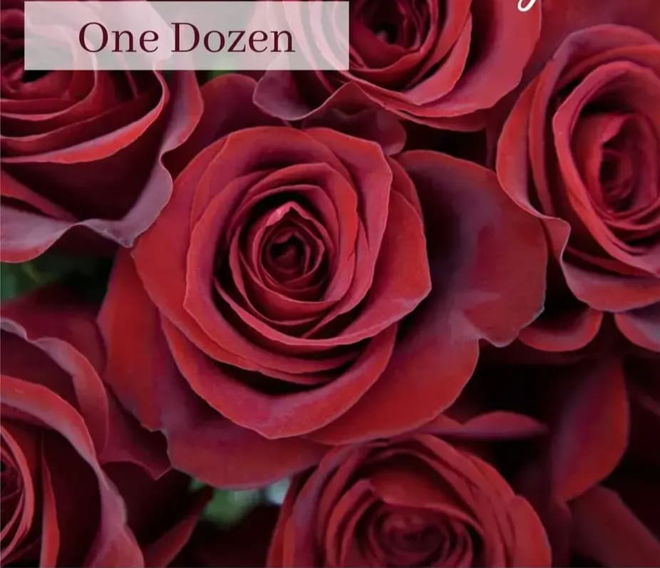 Masterly Red - Our Master Designer will Pick The Nicest Red Rose Variety and you can upgrade style ~ vase to allow our master designer to create  the loveliest of roses