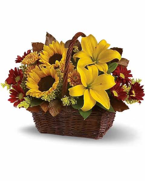 Golden Days Basket - Here's a golden opportunity to make someone's day. Just send this delightful basket of fresh fall flowers to someone who's on your mind and you can be sure it will lift their spirits!  Sunny sunflowers and asiatic lilies, red roses, gold and burgundy chrysanthemums, solidaster, brown copper beech and salal are splendidly arranged in a wicker basket. Send it and you'll be golden, too.  Approximately 14 1/4" W x 10 1/2" H    Orientation : All-Around  All prices in USD ($)  Due to an increase in the cost of roses, some product prices may be impacted during the Valentine’s delivery period.