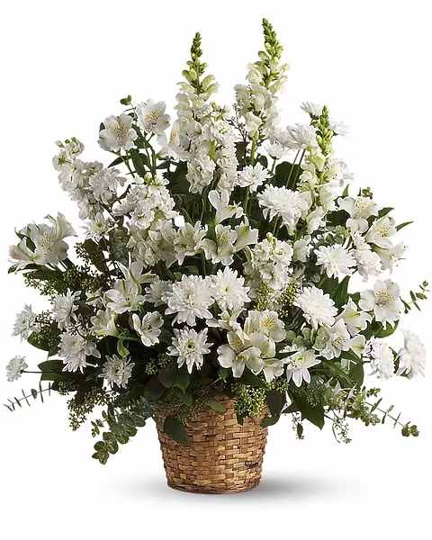 Heavenly Light - White alstroemeria, snapdragons and stock in a beautiful basket is a gift of caring that brings an air of serenity to the memorial service. Later, it will be a comfort for the family at home. This exquisite bouquet includes white alstroemeria, snapdragons, stock and cushion spray chrysanthemums and is accented with eucalyptus and lemon leaf. Delivered in a 6" natural pot basket.   Orientation : One-Sided  All prices in USD ($)  Due to an increase in the cost of roses, some product prices may be impacted during the Valentine’s delivery period.