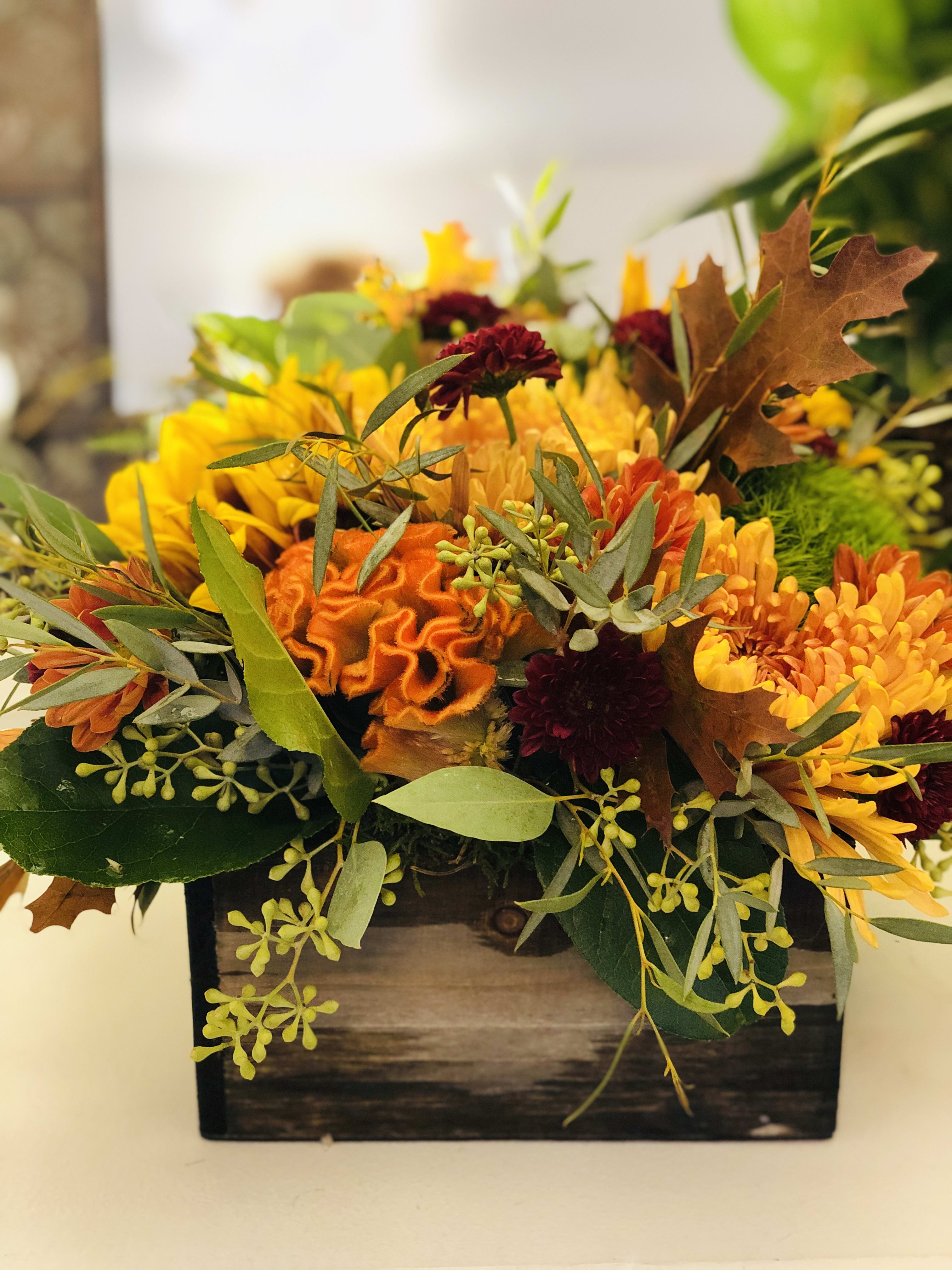 Fall in Love. - Fall in Love is a Great Choice! This Rustic wooden box filled with fall flowers and colors of Coxacomb, Chrysanthemums, Dianthus, Fall leaves, and seeded Eucalyptus will feel as though you are in the Green mountains of Vermont. Fall in love with our specialty designs for autumn. Florist reserves the right to make modifications based on seasonality and availability of these seasonal flowers.