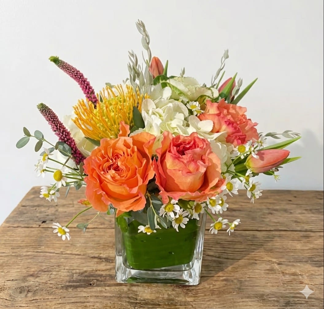 Free Spirit in Cube - Lightly fragrant Free Spirit Garden Roses are the featured flower in this petite vase arrangement. These bright roses have unique petals that are ruffled. These roses are complemented by white hydrangea, pink Veronica flowers, yellow or orange pincushion, pink tulips and assorted fillers/greens. This arrangement is presented in a small cube-shaped, clear or white glass vase. Standard size pictured. Larger sizes available. Flowers and vase will vary based on availability.