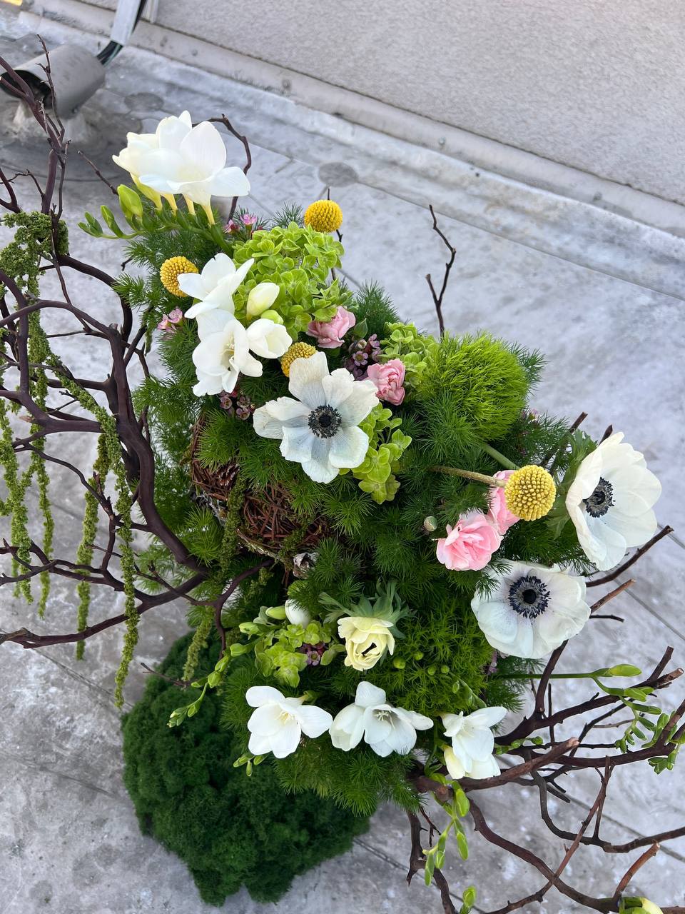 Elven Garden - Composition “Elven Garden” is a magical intertwining of natural elements, as if taken straight from an enchanted forest where elves dwell.  Airy white anemones and freesias symbolize lightness and purity, reminiscent of morning mist gently dispersed by the sun’s rays. Delicate pink buds and golden craspedia spheres add subtle accents, like tiny blossoms scattered across a hidden woodland glade. Lush emerald greenery and soft moss create the feeling of a cozy, nature-wrapped sanctuary. Twisting branches bring a sense of movement, as if they belong to an ancient tree under which elves weave their mystical spells.  This “Elven Garden” is filled with mystery, elegance, and natural harmony. It beckons you into a world of fantasy, where nature and magic exist in perfect unity.