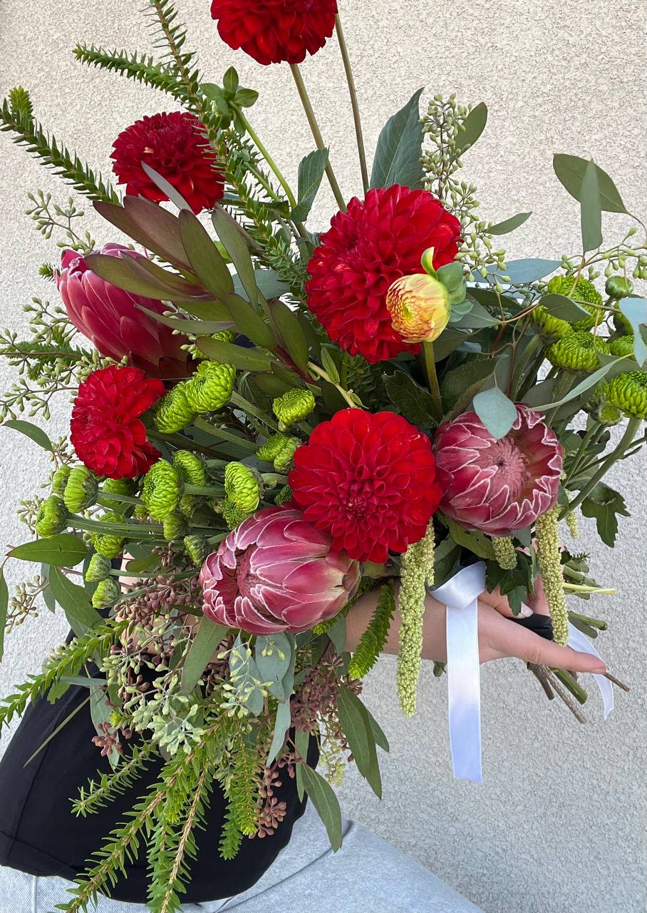 Scarlet Elegance - Scarlet Elegance is the embodiment of passion, strength, and natural grace. Deep crimson tones blend with exotic elements, creating a striking and sophisticated composition. Stunning proteas, rich red dahlias, and lush greenery come together to form a bouquet that captivates the eye and leaves a lasting impression.  This bouquet is the perfect gift for those who appreciate vibrancy, energy, and natural beauty. Scarlet Elegance is more than just flowers—it’s an expression of style, power, and refined luxury.
