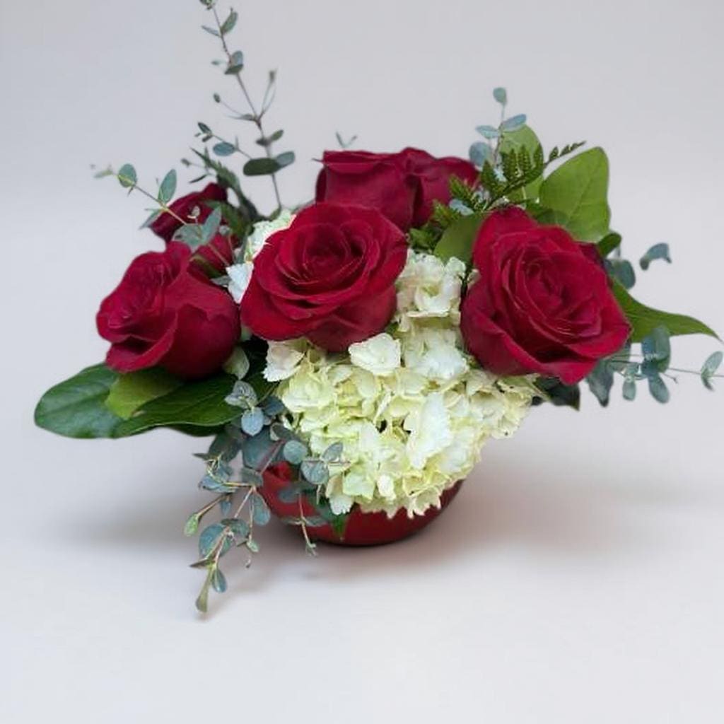 Crimson Kiss - A captivating arrangement of six premium red Ecuadorian roses nestled among lush white hydrangeas and accented with assorted greenery, elegantly presented in a striking red glass bowl. A perfect expression of love and elegance. 