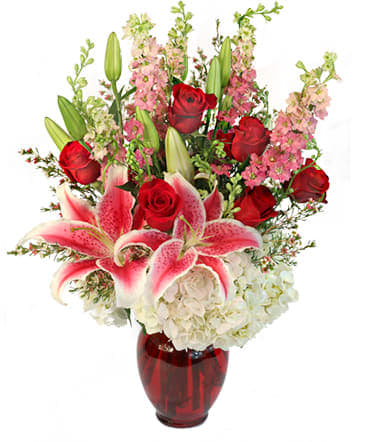 My Beautiful Valentine - Classic combination of red roses, white hydrangea, fragrant lilies, and pastel pink larkspur in a rich red vase.