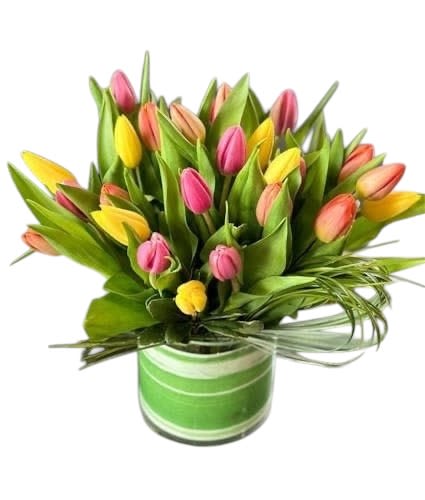 Multicolor Tulips - Tulips are classically beautiful. These blooms are a great gift for any tulip lover out there. Assorted rainbow-colored tulips in a glass vase.