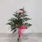 Simply Sweet - Single carnation showcased simply to send a sweet gesture whatever the occasion! Colors can vary, will do our best to follow color requests if available! Red, White, Pink, Hot Pink, Yellow, Orange, Burgundy, Bi-color, Purple