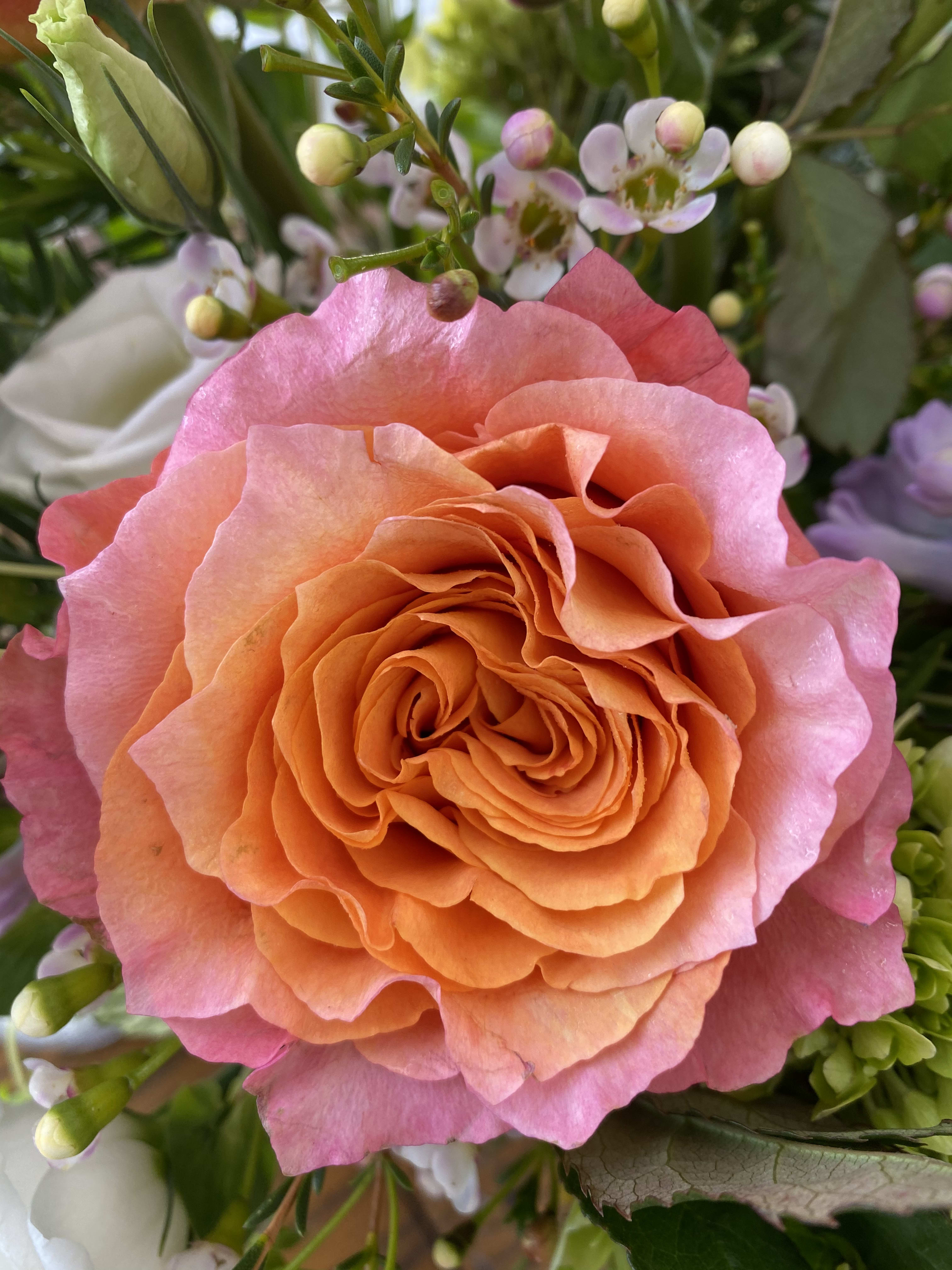 Designer's Choice - $100 - Let our designers choose from the best available seasonal blooms. 