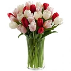 Tulips in pink, red and white - A perfectly sweet valentine's gift for the special someone.