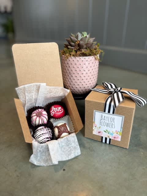Succa for You Bundle with Candle - This sweet bundle is perfect for the plant lover in your life! It includes a lovely succulent in a decorative ceramic pot, a fragrant Ella B candle, and 4 decadent chocolate truffles from Sweet Shop USA! ***Ceramic pots &amp; succulent varieties will vary***