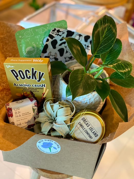 Spa &amp; Treat Basket - An assortment of home &amp; spa products, sweet treats, and a house plant with a ceramic cache pot.