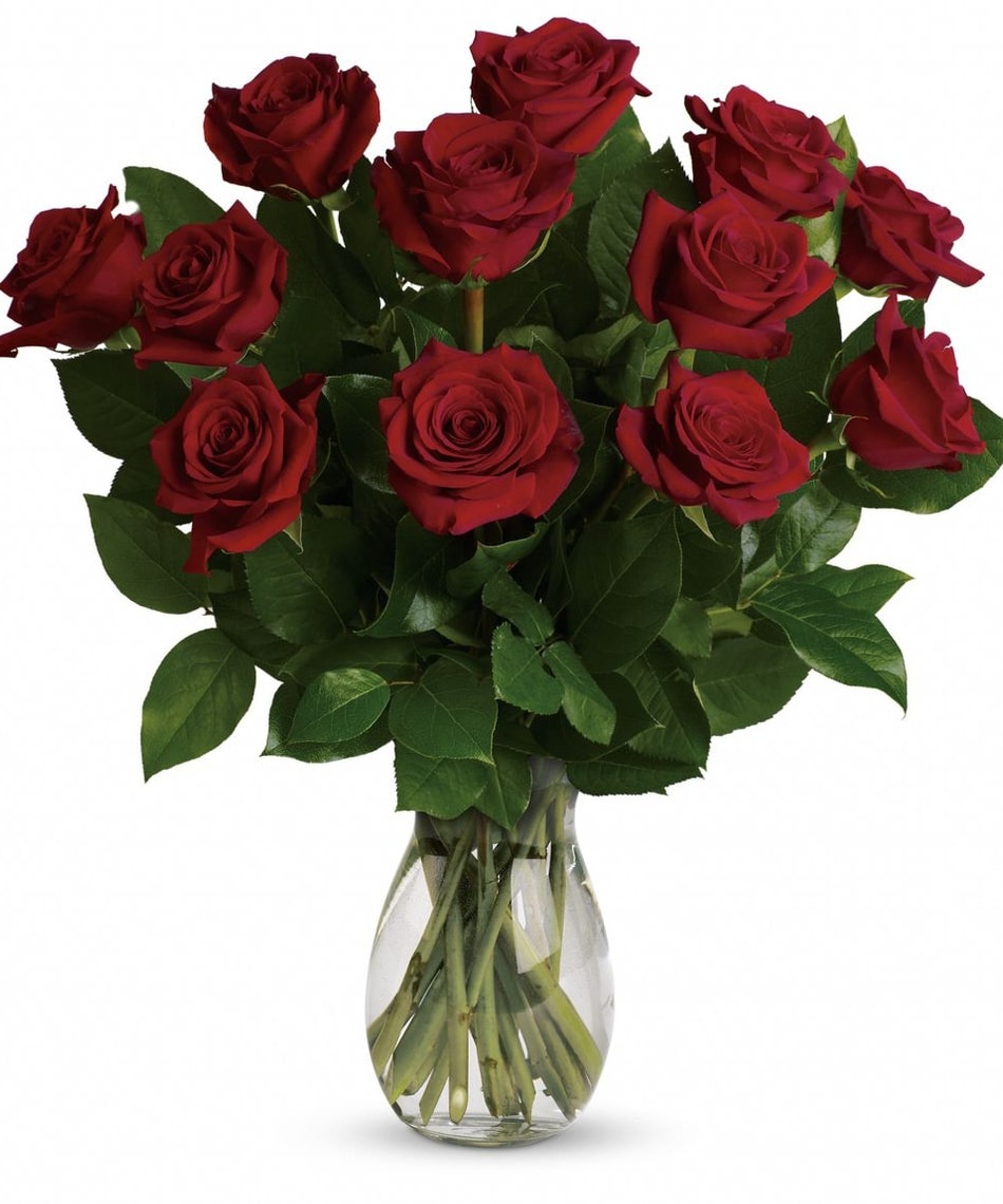 Classic Red Roses - One dozen premium red roses arranged in a clear vase.  Other colors available.  Specify second color choice when placing your order. Deluxe price includes 18 roses, Premium price includes 24 roses. Due to product availability, container may vary.