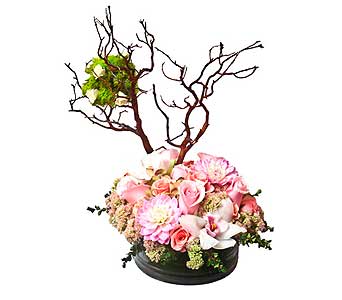 Birch Of Happiness by Newport Florist - NF124 - This Beautiful arrangement is the perfect gift to make someone really happy, with white orchids, Soft Pink dahlias, Pink Roses, Manzanilla Birch, Spray Roses and More  16" W X 22" H      As Shown : NF124  