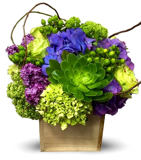 Newport's Beauty Secret By Newport Florist NF246 - A beauty secret we're happy to share! This trendy, high-fashion mix of purple, lime greens and lavender is presented in a modern wood box. NF246