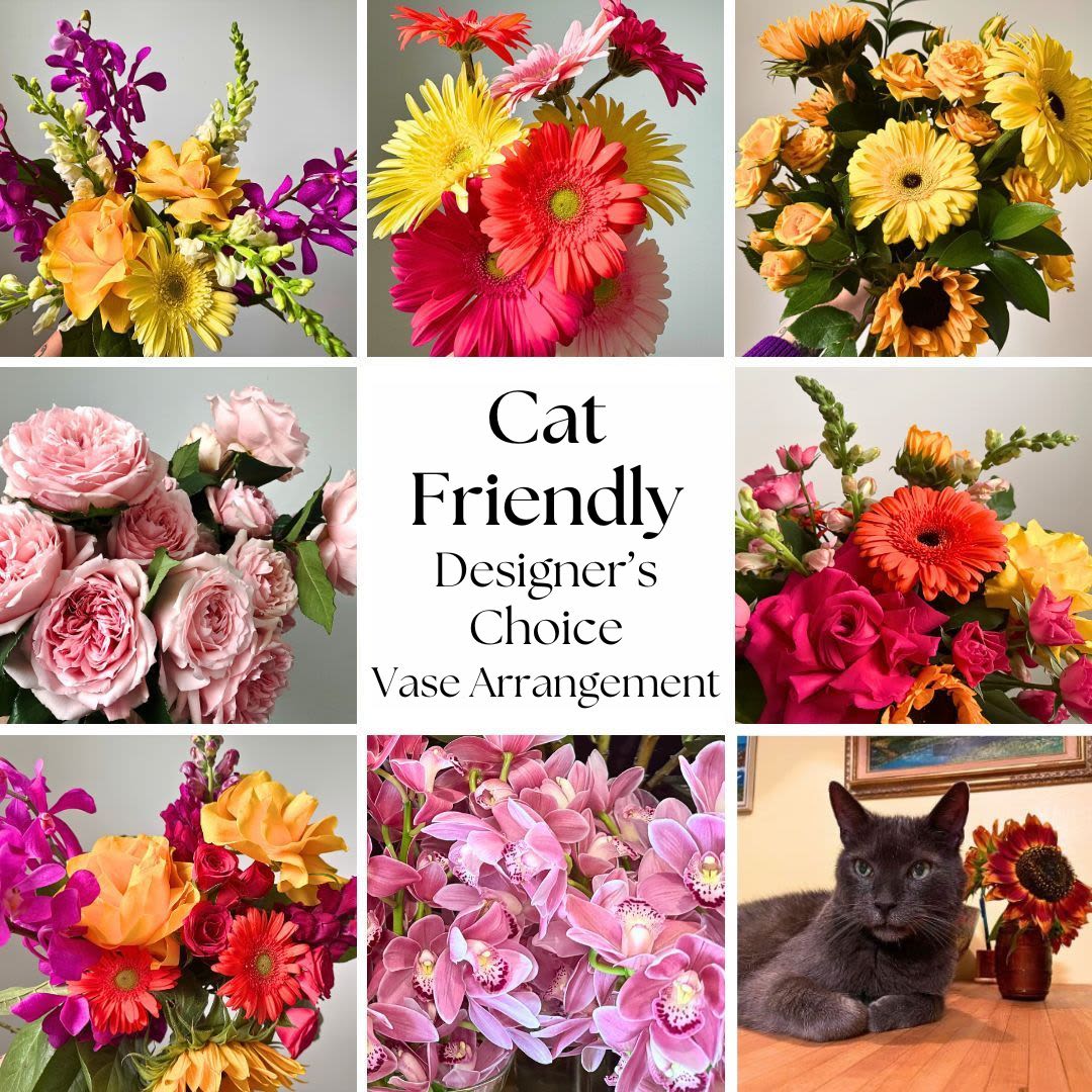 Cat Friendly Vase Arrangement- Designer's Choice  - Cats are the best! Trust us to create a unique cat friendly designer's choice vase arrangement. We select the best cat safe flowers that are in season and will design something in our Flora garden style. Cat friendly flowers are limited to gerbera daisies, sunflowers, orchids, snapdragons, roses and spray roses, limonium, stock, freesias, lisianthus, waxflower, and lemon leaf greens.   Delivery Info- We make all of our deliveries after 1pm every day. If the weather is very cold, we prefer not to leave the flowers outside. Please let the recipient know that they should expect delivery.
