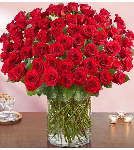 100 Red Roses - Show how much you love them with 100 red roses! 