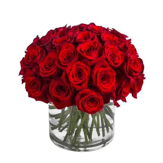 Lustre - Make a bold statement with this beautifully simple design. Lustre is the perfect gift for Valentine's Day, an Anniversary, or when anytime you're feeling romantic.   Arrangement Details: Three dozen red roses in a glass cylinder vase.  APPROXIMATE DIMENSIONS are 12"D X 12"H 