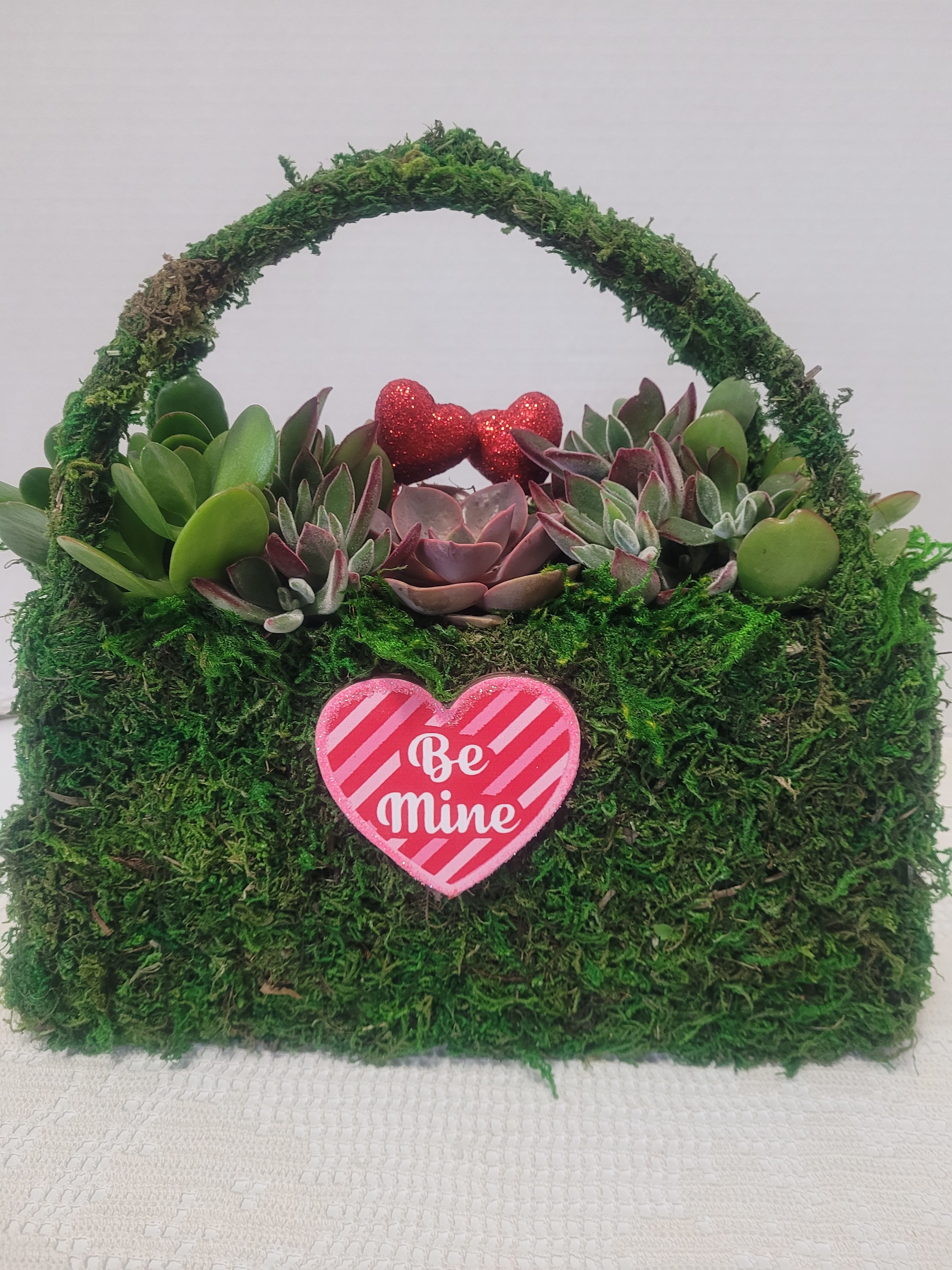 Moss Large Valentine's Day Purse - A decorated moss purse filled with succulents. Very festive. This is a closed environment so remember to spritz. 
