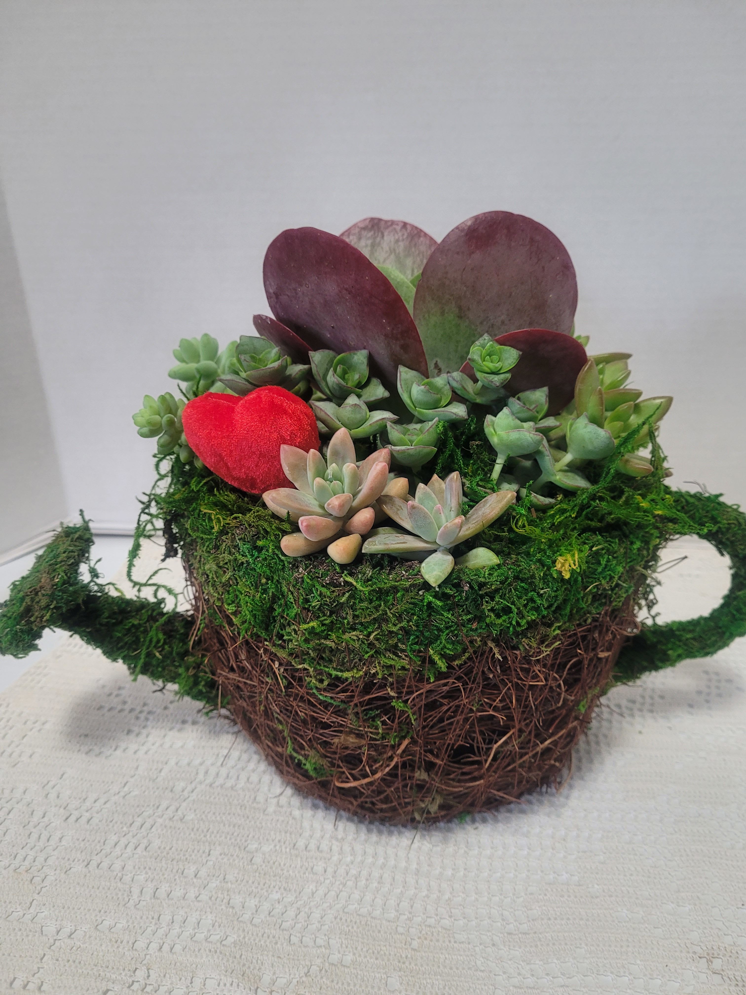 Moss Watering Can  - Everyone deserves a cute moss stuffed watering can with succulents. 