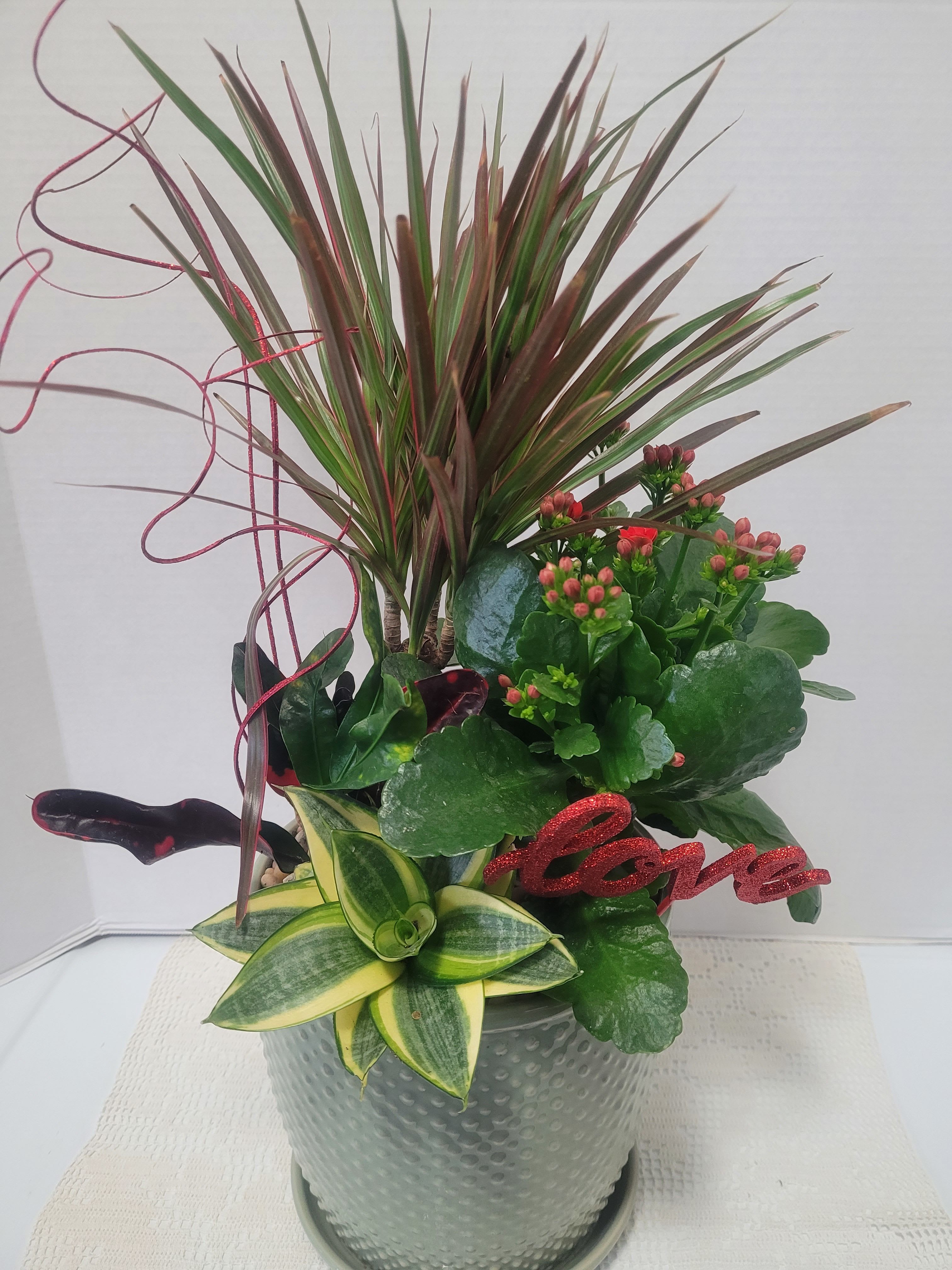 Houseplants Galore  - A sage green ceramic container planted with a variety of hardy houseplants. Included is blooming Kalanchoe. Ideal for any occasion. 